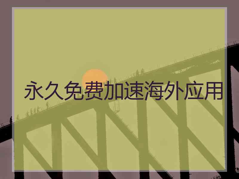 永久免费加速海外应用