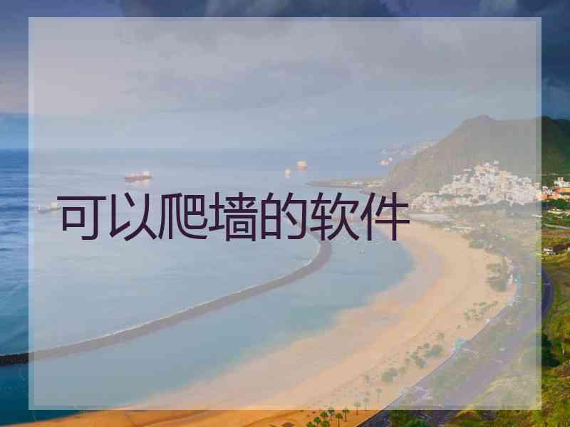 可以爬墙的软件