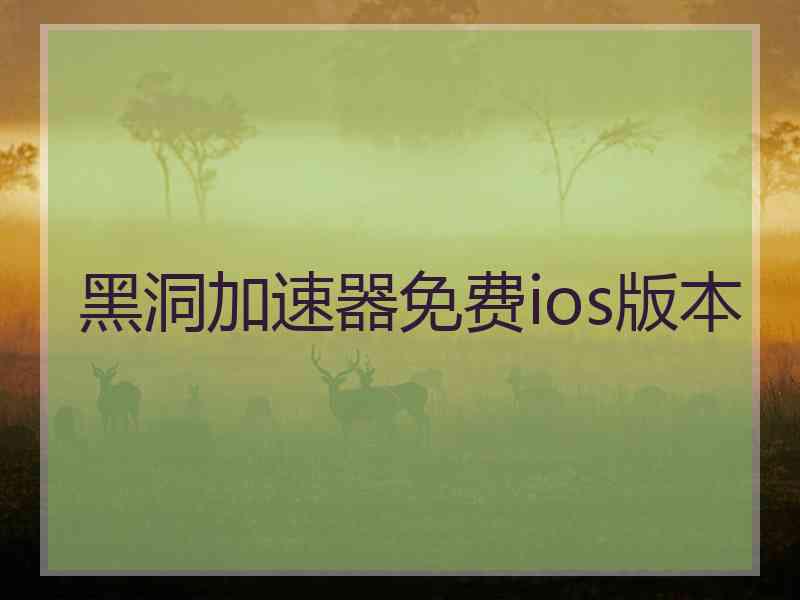 黑洞加速器免费ios版本