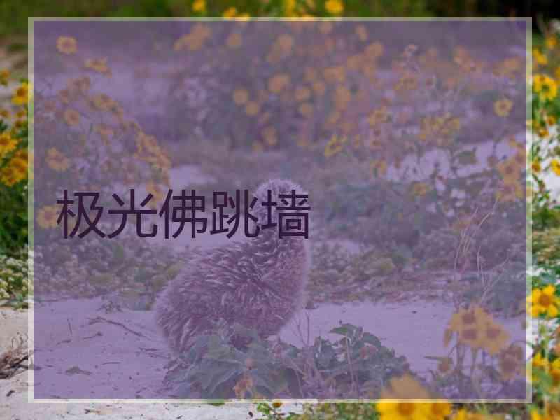 极光佛跳墙