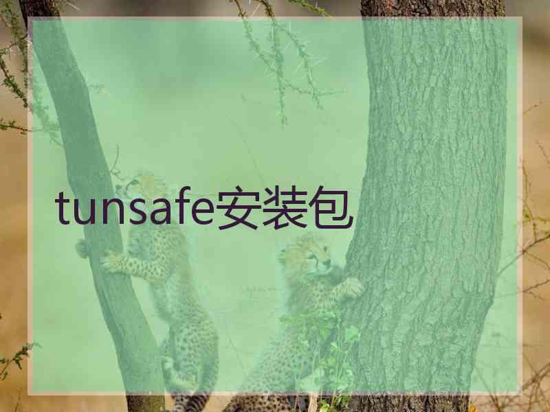 tunsafe安装包