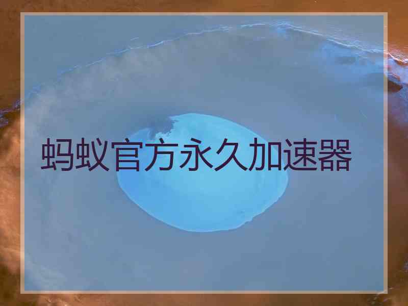 蚂蚁官方永久加速器