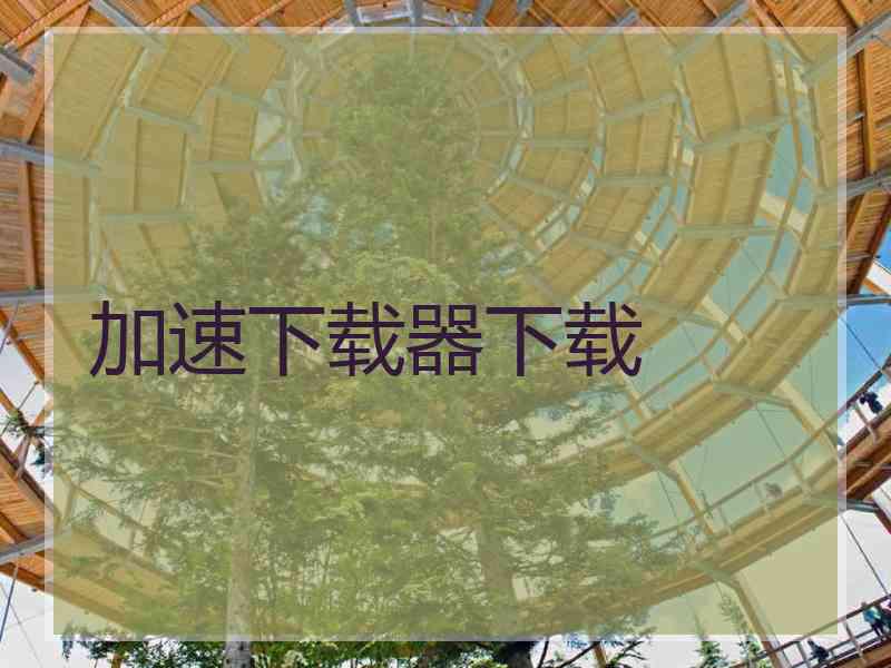 加速下载器下载
