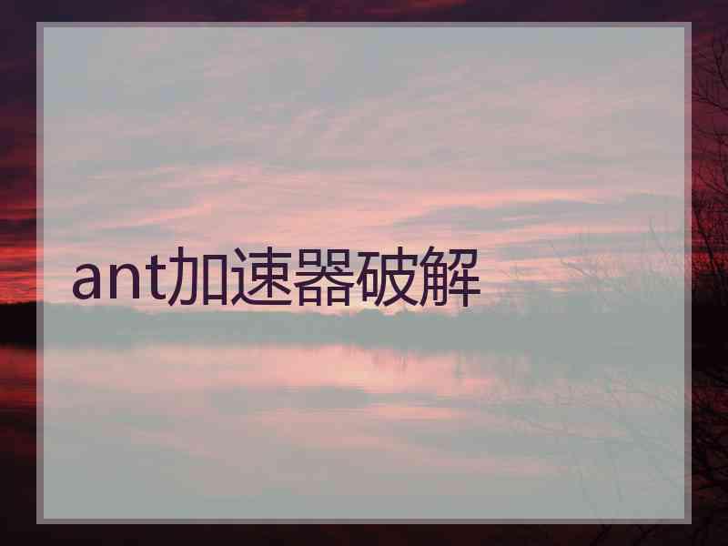 ant加速器破解