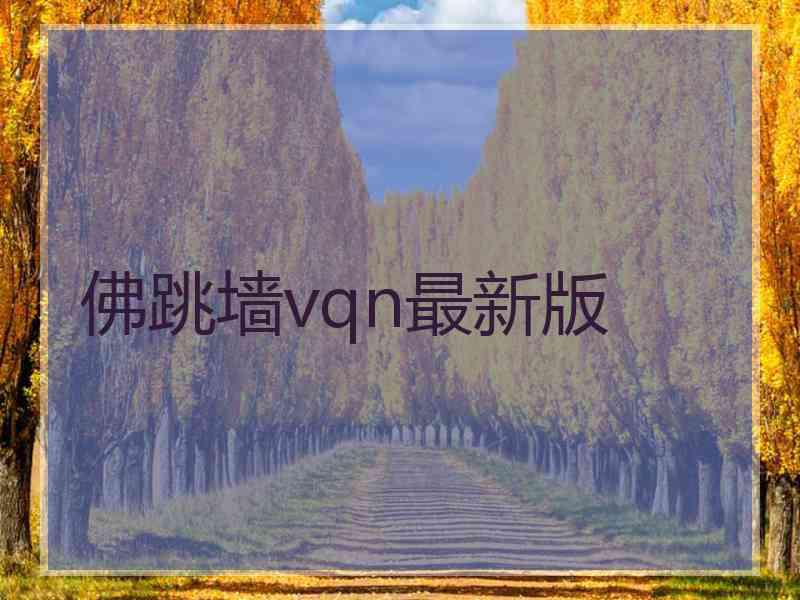 佛跳墙vqn最新版