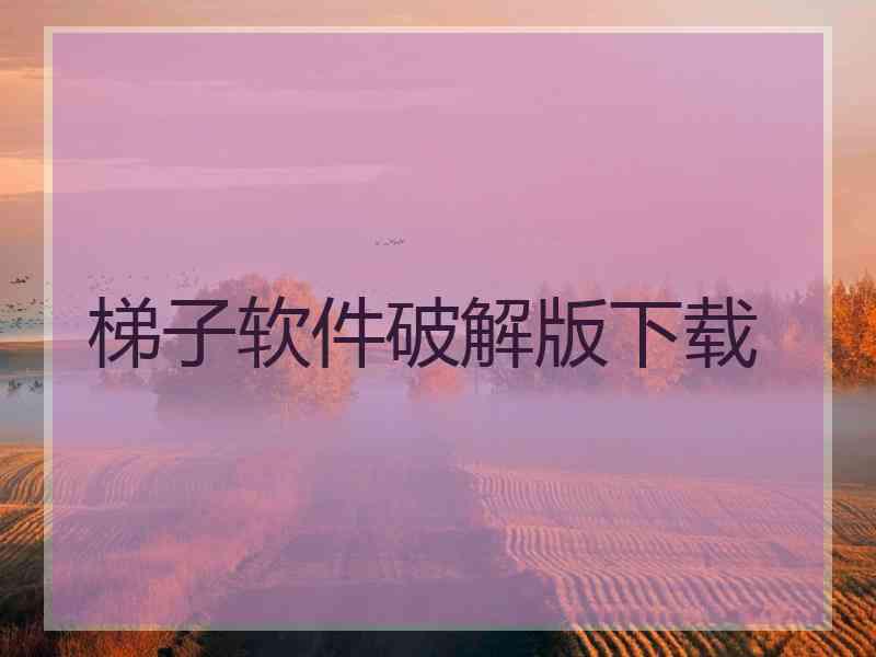 梯子软件破解版下载