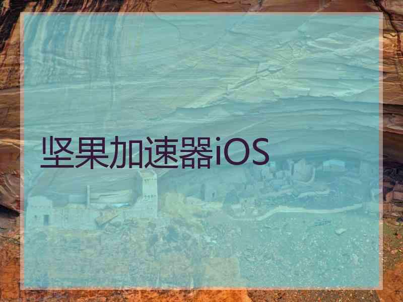 坚果加速器iOS