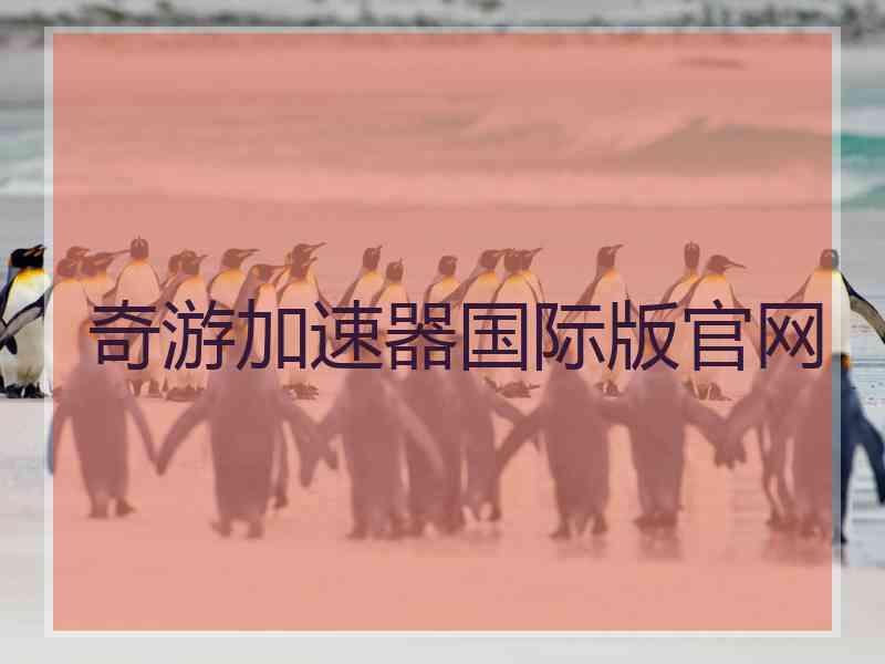 奇游加速器国际版官网