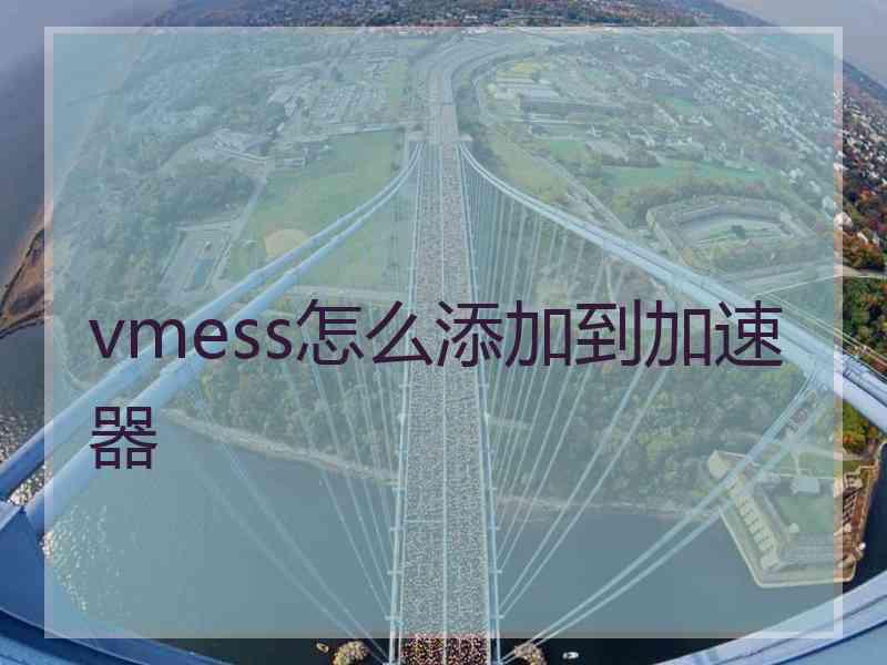 vmess怎么添加到加速器