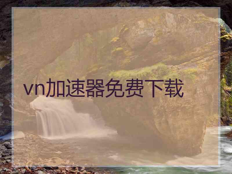 vn加速器免费下载