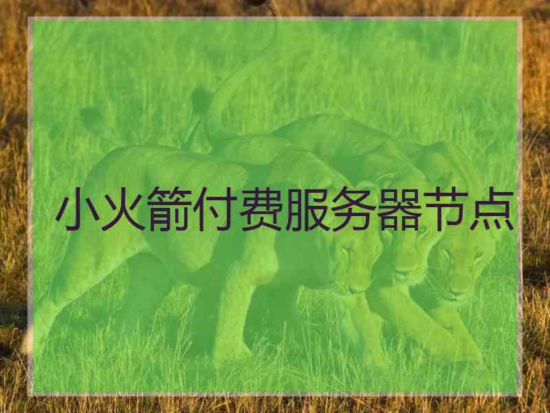 小火箭付费服务器节点