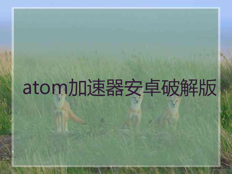 atom加速器安卓破解版