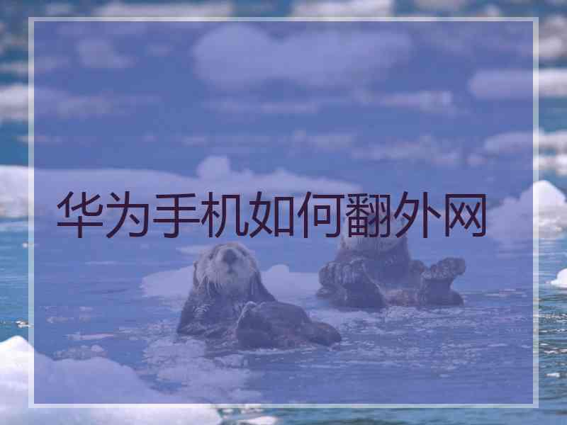 华为手机如何翻外网