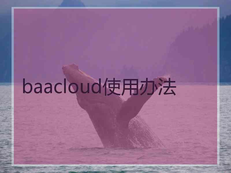 baacloud使用办法