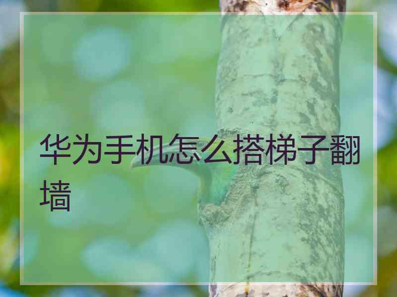 华为手机怎么搭梯子翻墙