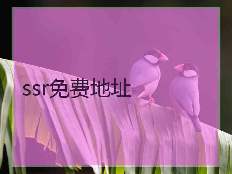 ssr免费地址
