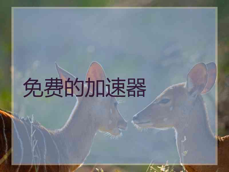 免费的加速器