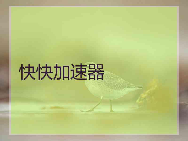 快快加速器