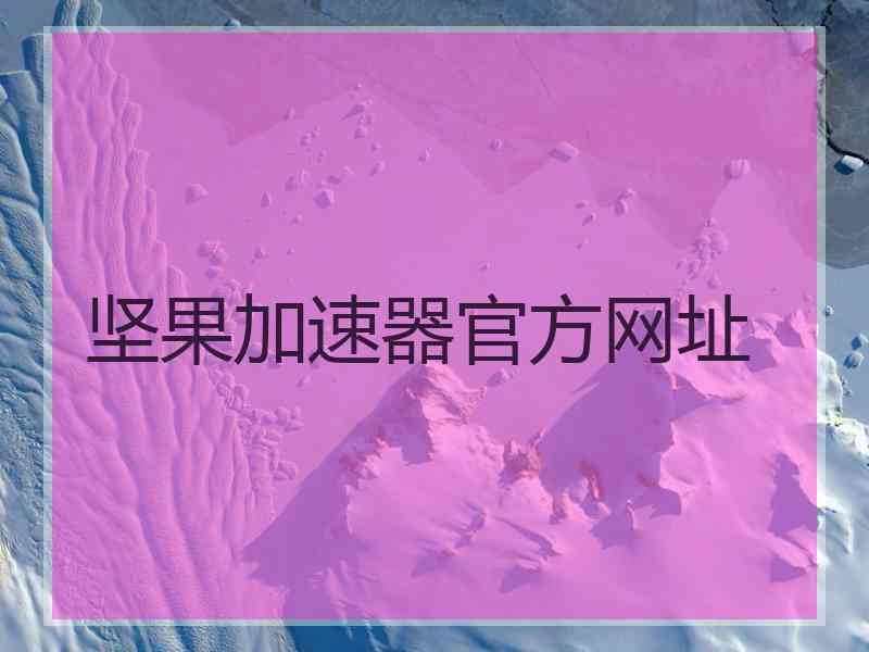 坚果加速器官方网址