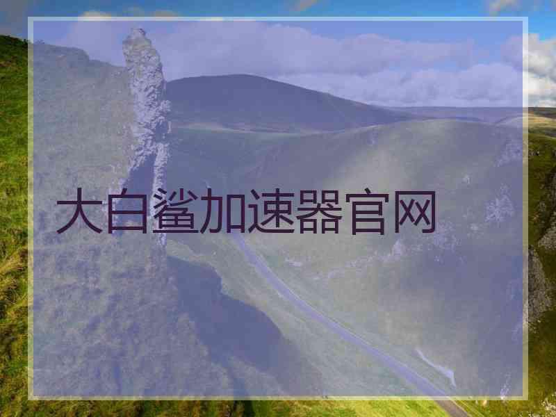 大白鲨加速器官网
