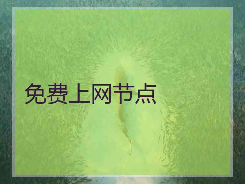 免费上网节点