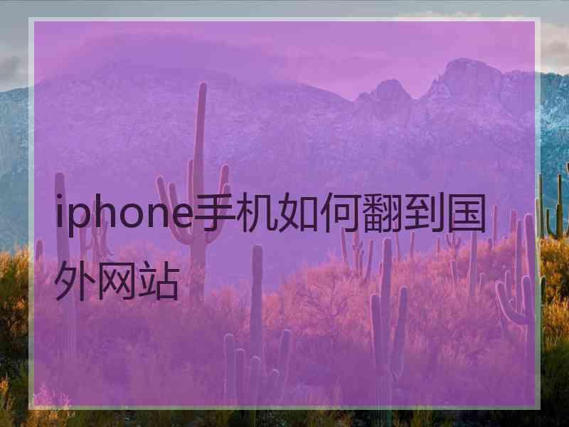 iphone手机如何翻到国外网站