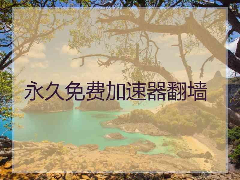 永久免费加速器翻墙