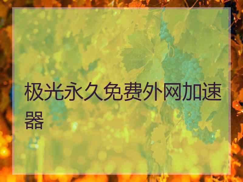 极光永久免费外网加速器