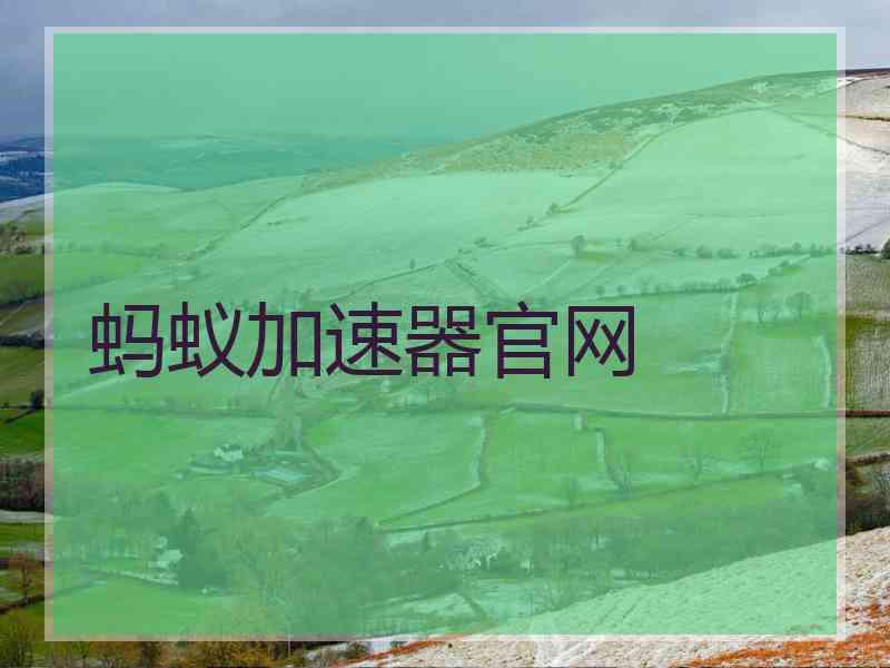 蚂蚁加速器官网