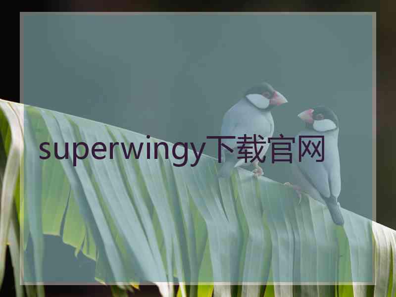 superwingy下载官网