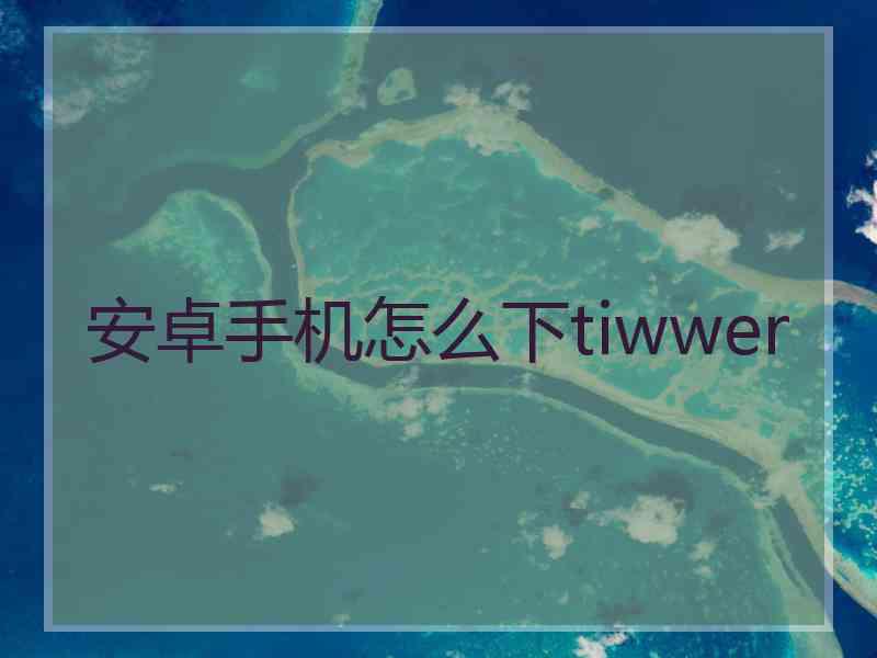 安卓手机怎么下tiwwer