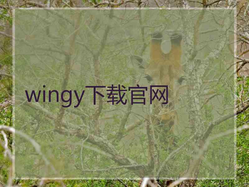 wingy下载官网