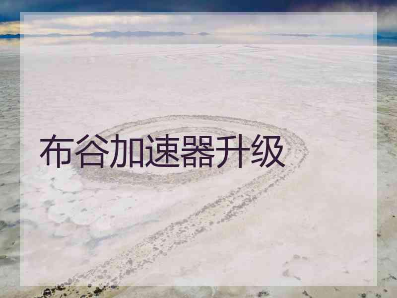 布谷加速器升级