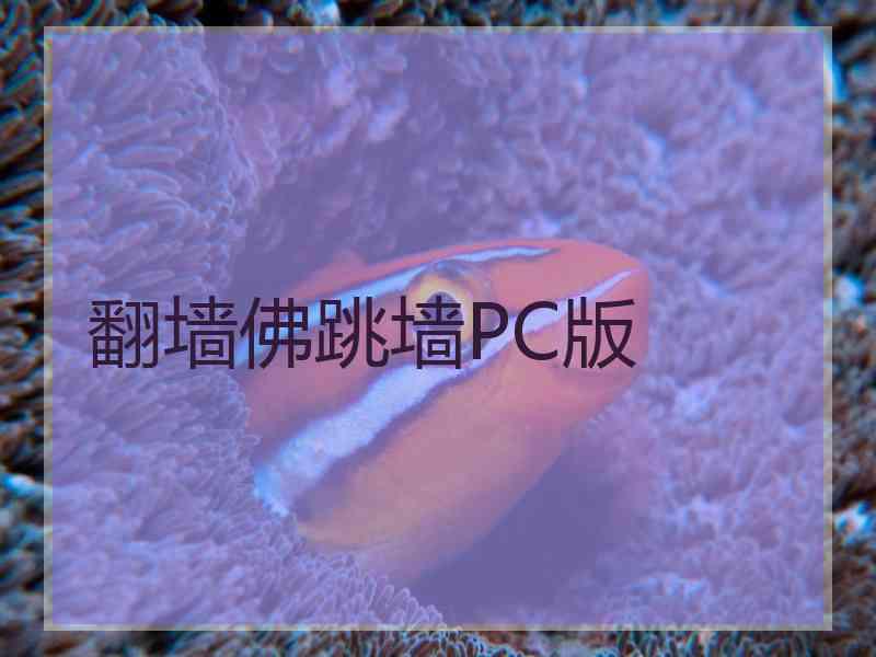 翻墙佛跳墙PC版