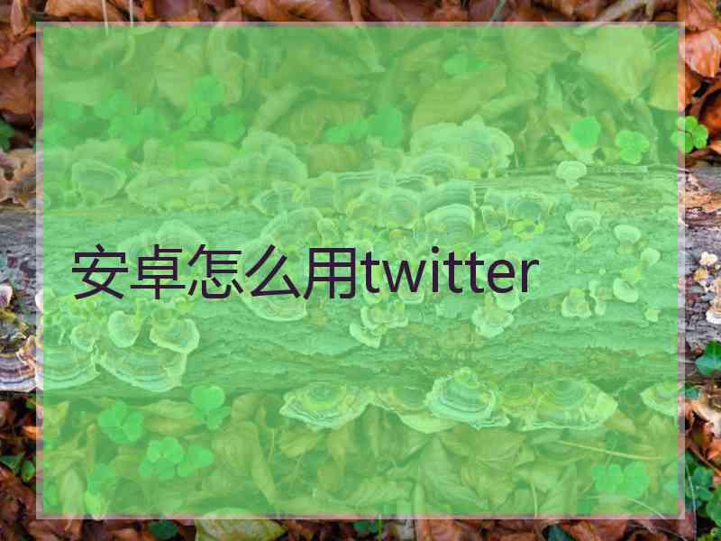 安卓怎么用twitter