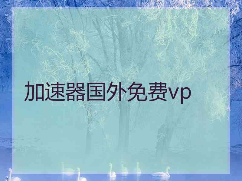 加速器国外免费vp