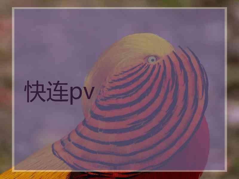 快连pv