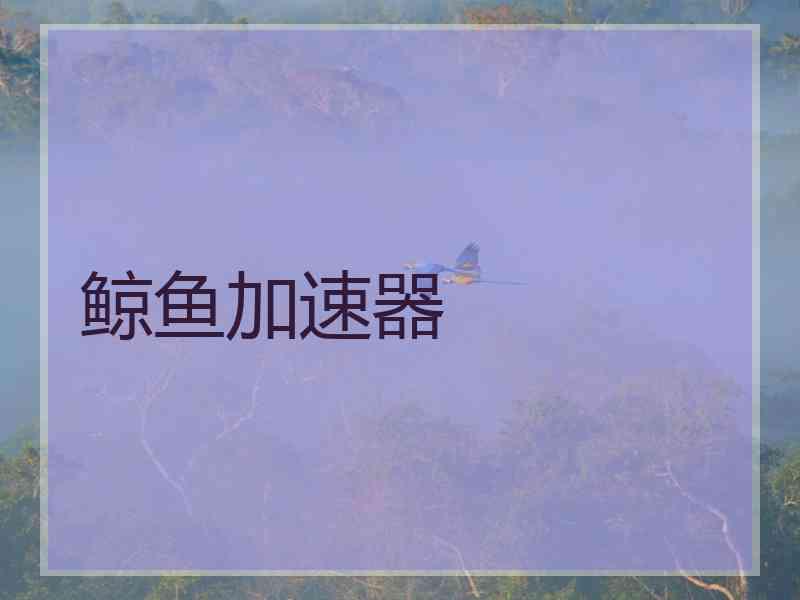 鲸鱼加速器