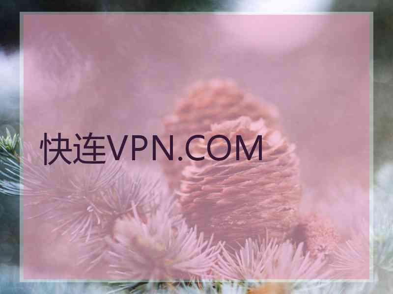快连VPN.COM