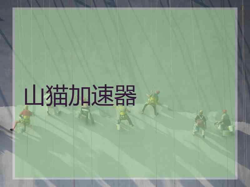 山猫加速器