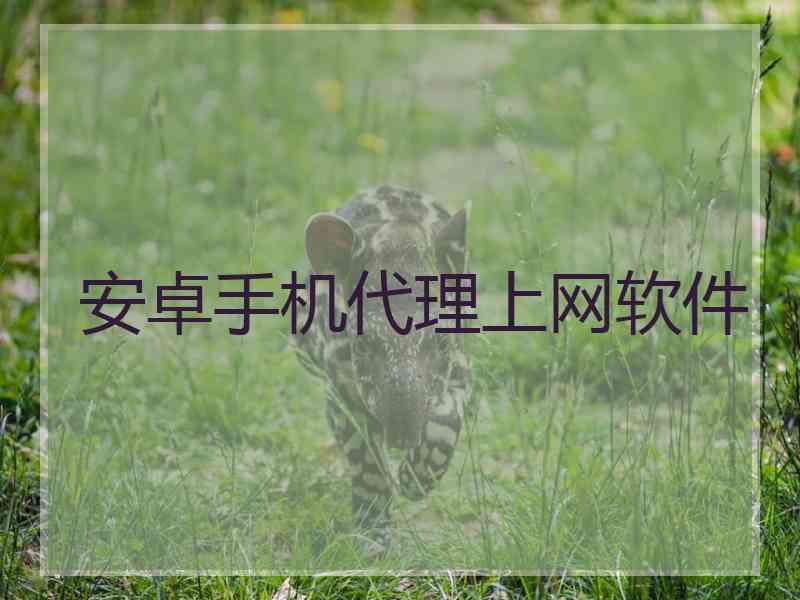 安卓手机代理上网软件