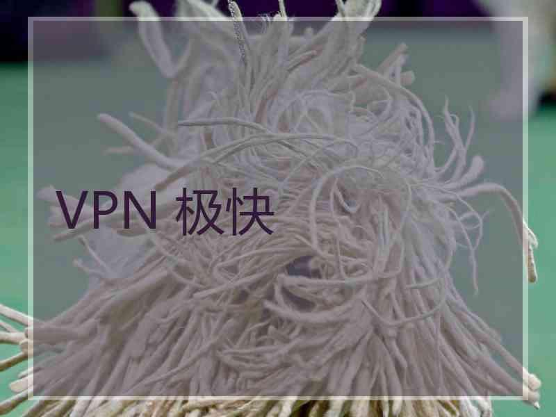 VPN 极快