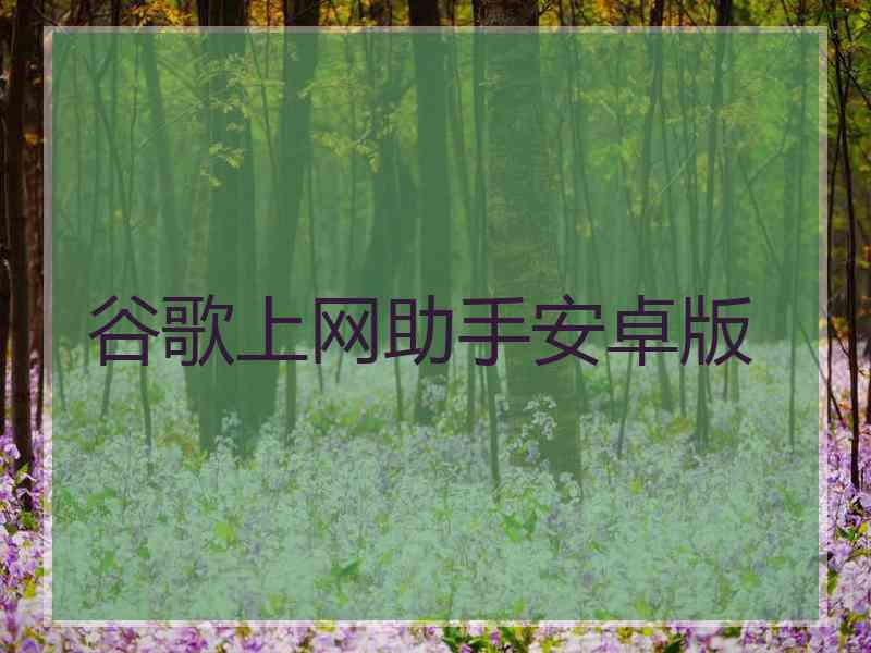 谷歌上网助手安卓版