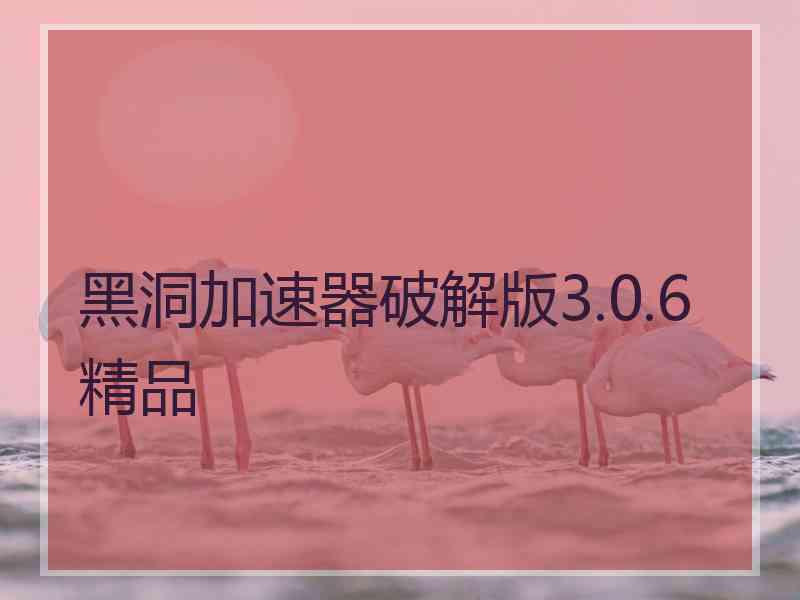 黑洞加速器破解版3.0.6精品
