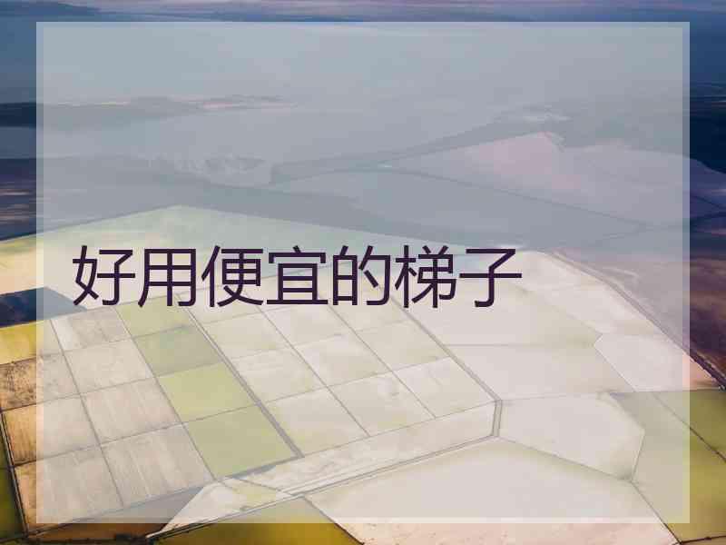 好用便宜的梯子