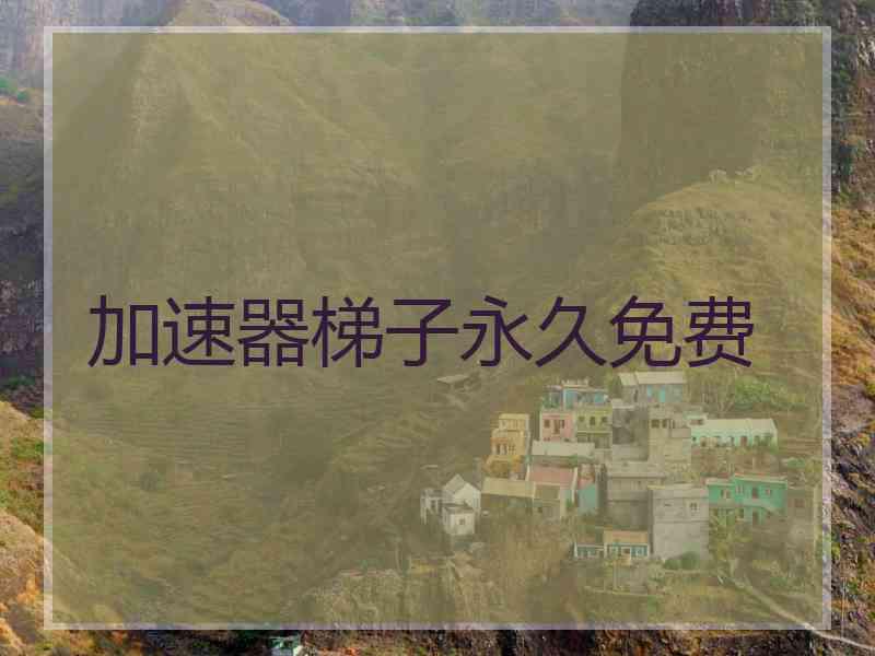 加速器梯子永久免费