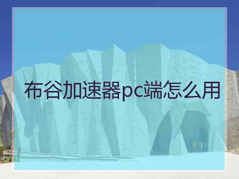 布谷加速器pc端怎么用