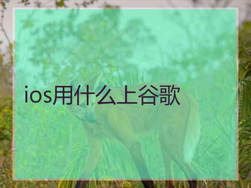 ios用什么上谷歌