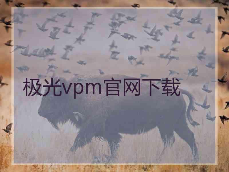 极光vpm官网下载
