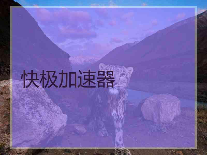 快极加速器